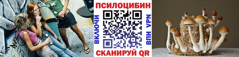 Галлюциногенные грибы прущие грибы  kraken ссылки  Лесосибирск 